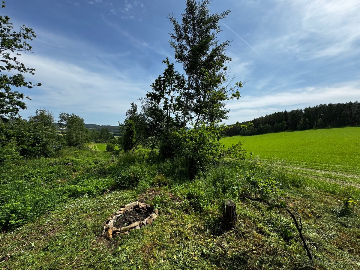 Prodej lesa 880m2 Radkovice - 7