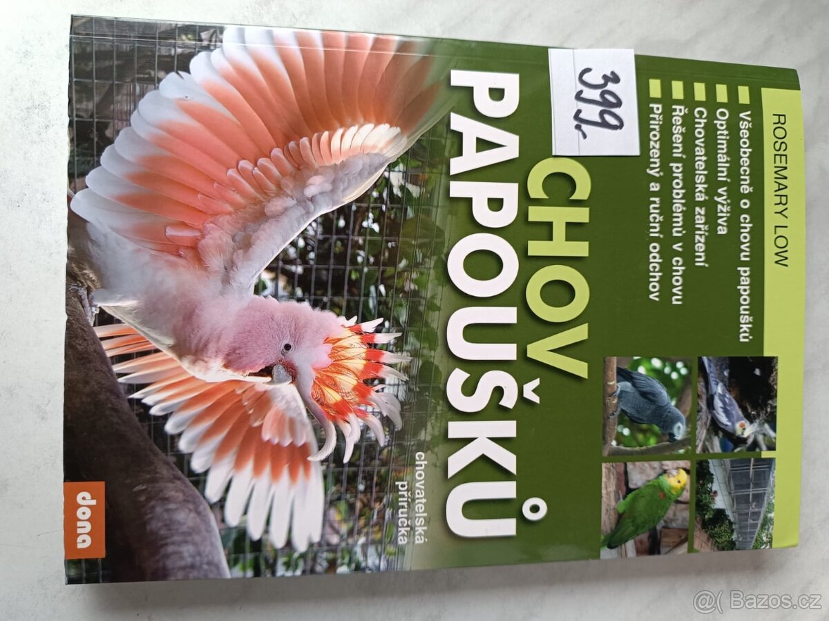 Papoušek dravci sovy ptaci - 7