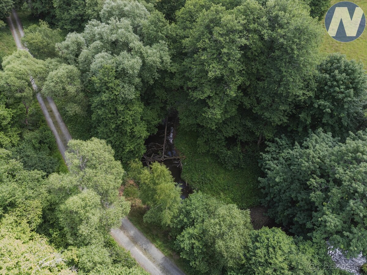 Prodej soustavy rybníků, Kříženec u Mariánských Lázní, možno - 7