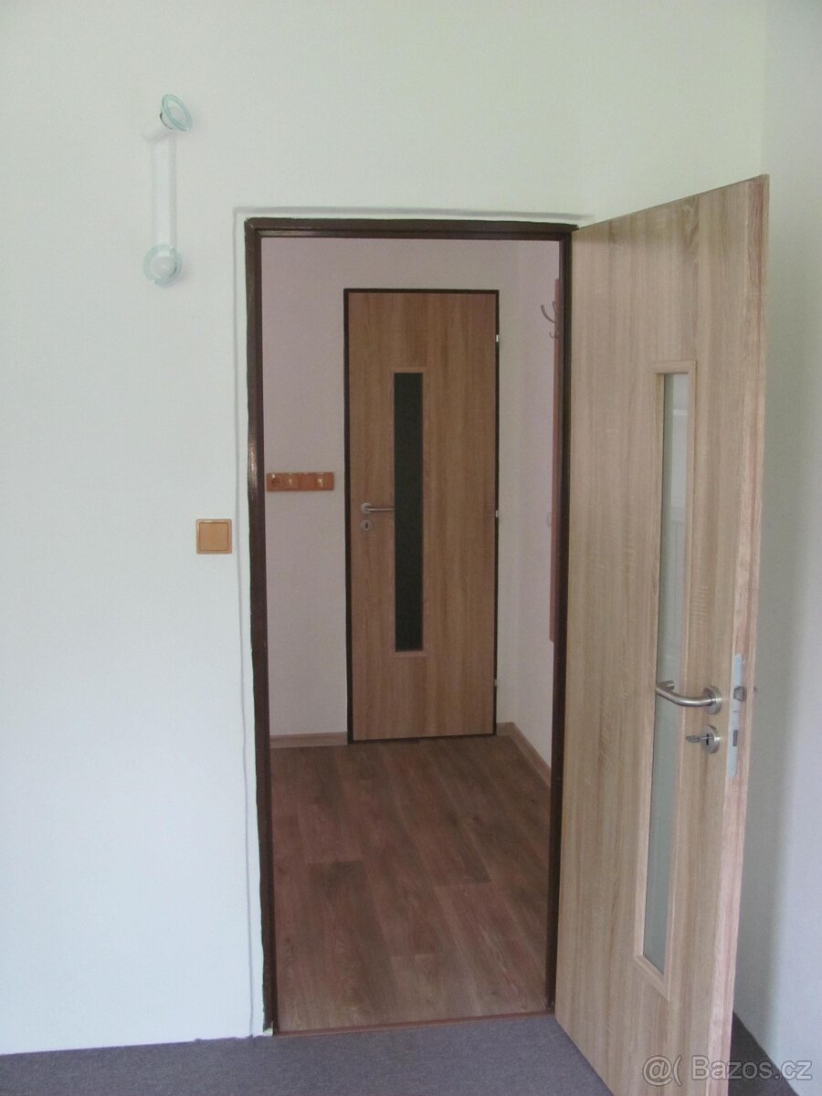 Pronájem bytu 2+1 - 7