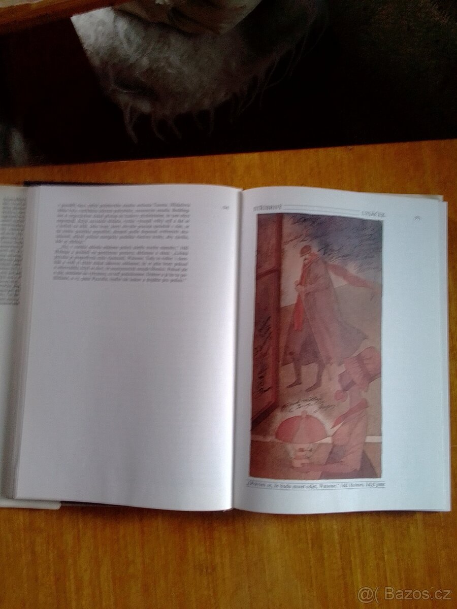 Muž s dýmkou a houslemi - 7