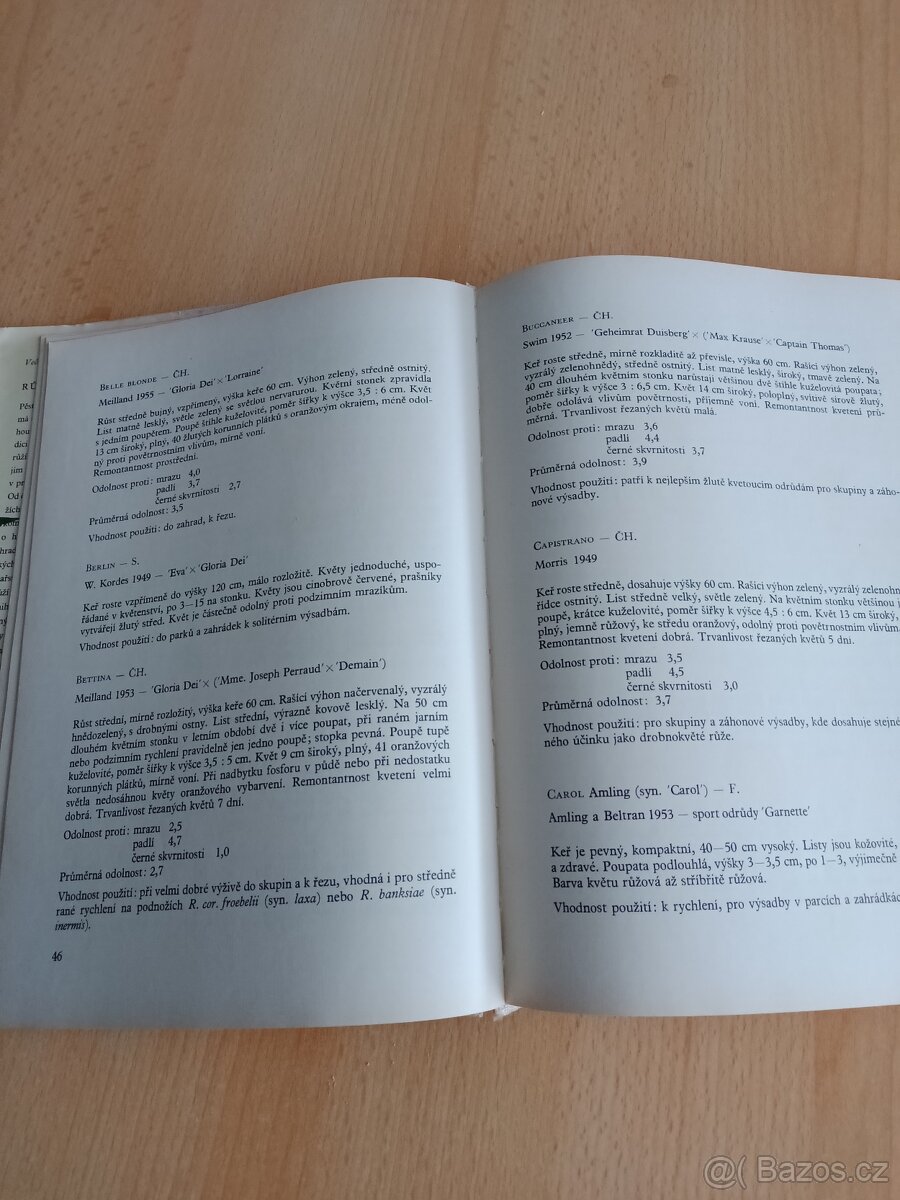 Alpínky,Růže,Atlas hub - 7