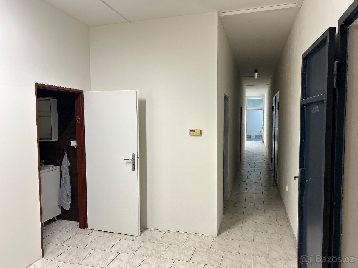 Pronajmu dlouhodobě obchodní prostory cc 550m2. Sklad,prodej - 7