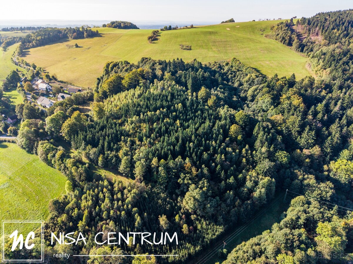 Prodej lesa 30 343 m² v Šimonovicích, ev.č. 00314 - 7