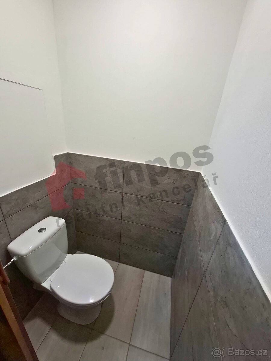 Pronájem bytu 1+1, Břidličná - 7