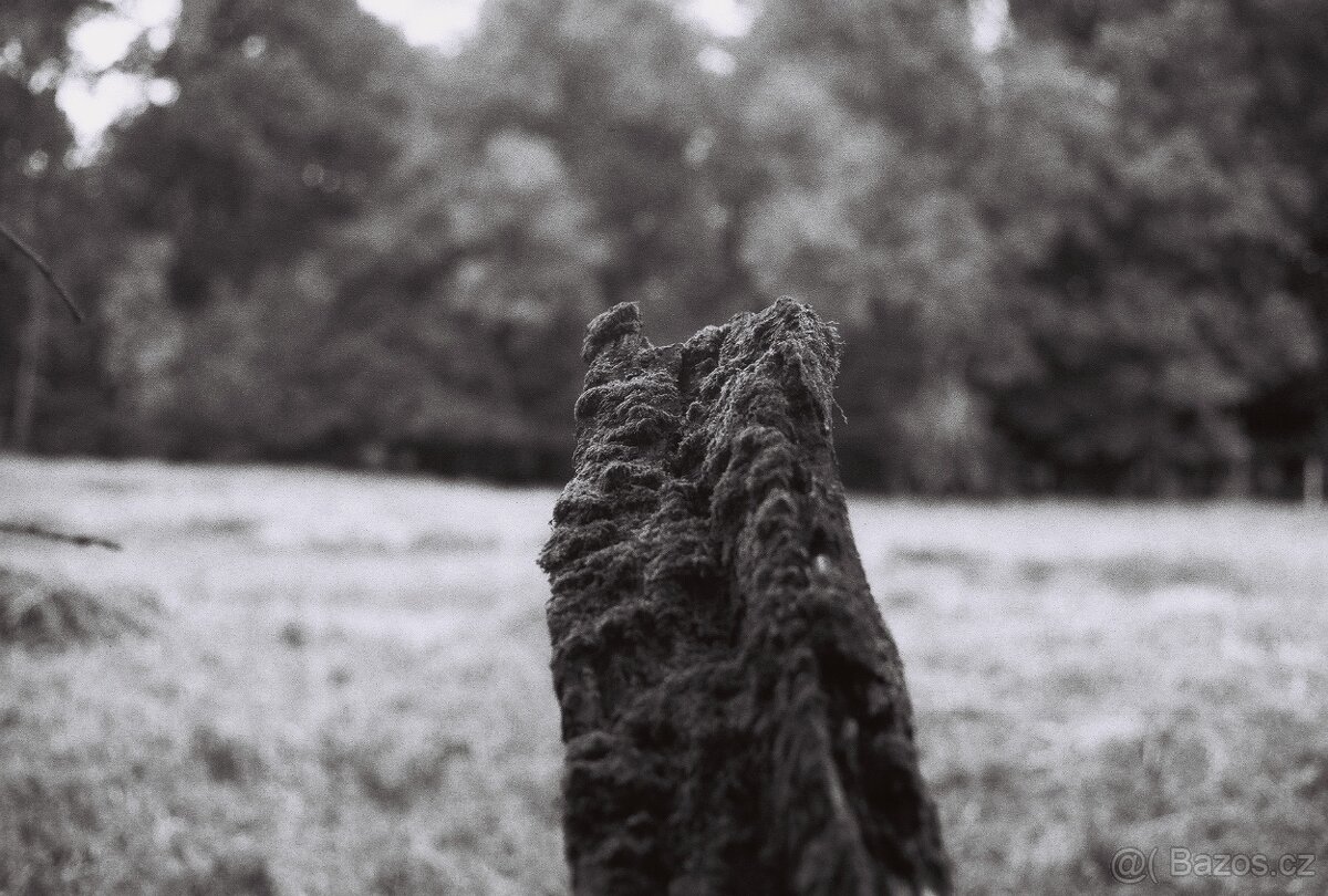 Canon Av-1 - (50mm f1:1,8) - 7