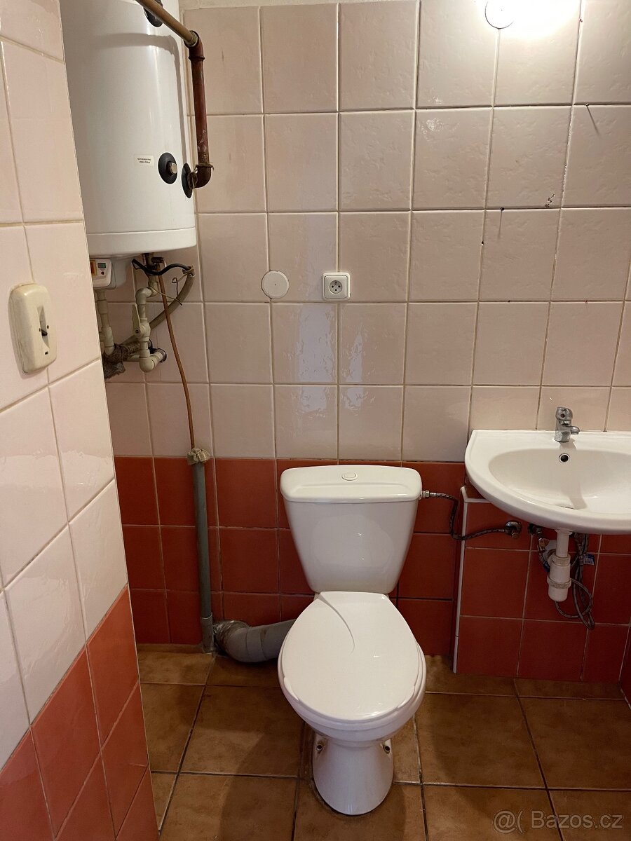 Pronájem bytu 1+1, 42 m2, Milotice nad Opavou - 7