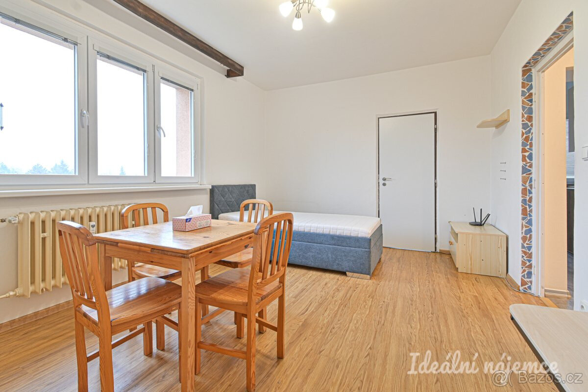 Pronájem bytu 3+1, Vysoká, Štýřice, 21.900 Kč/měs, 58 m2 - 7