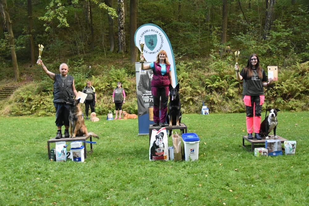 Americký stafordširský teriér s PP - 7