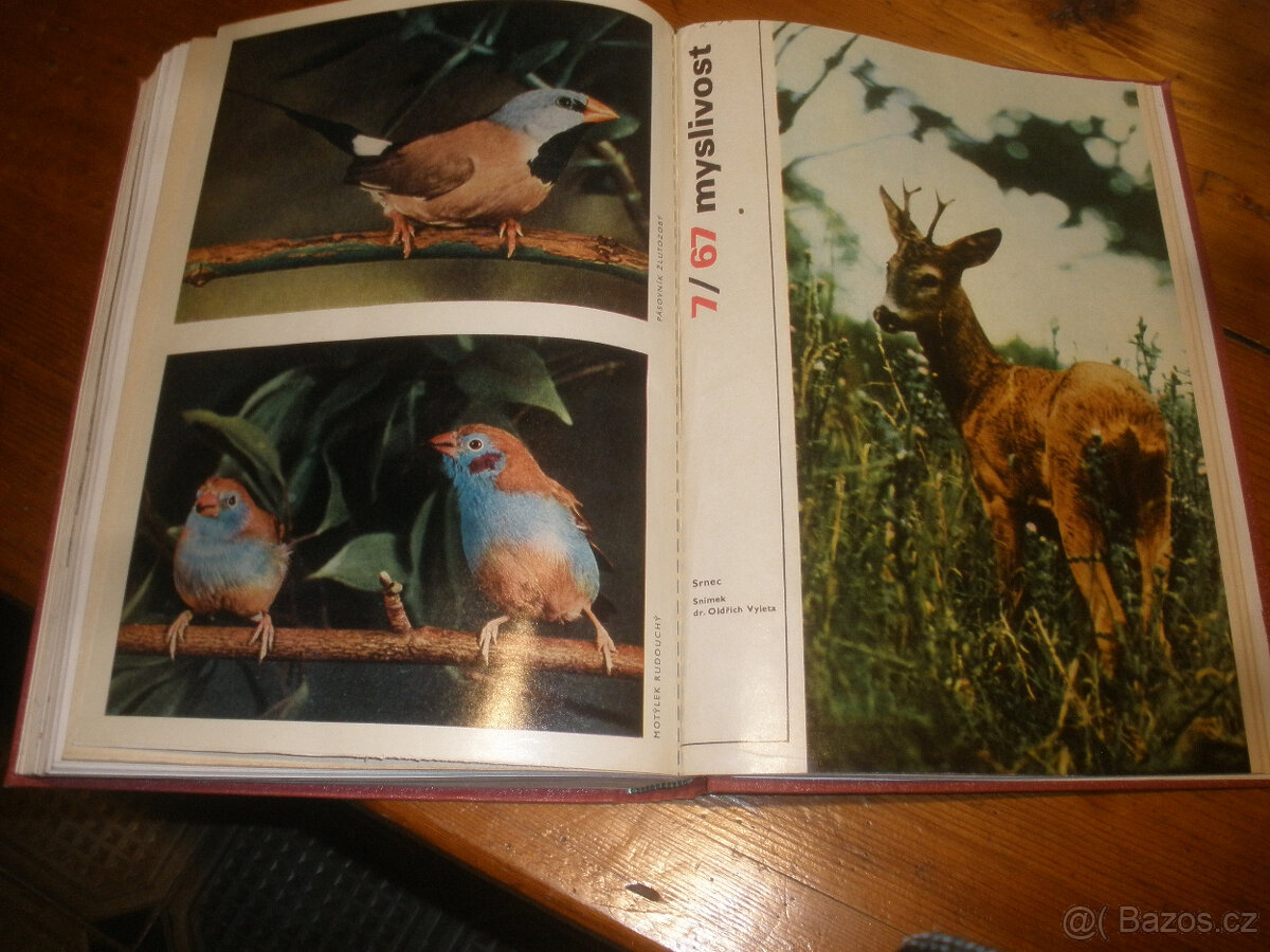 Myslivost ,svázaný ročník 1968 - 7
