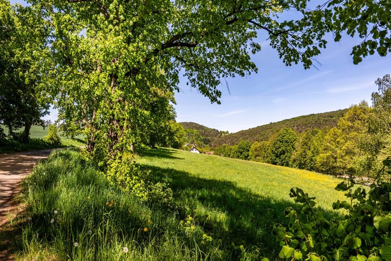 Stavební pozemek 1498 m² – Bohostice u Orlické přehrady - 7