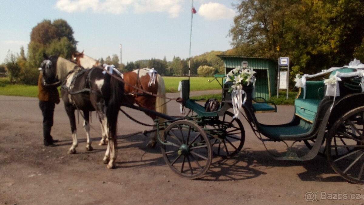 KOČÁR ZA KONĚ - 7
