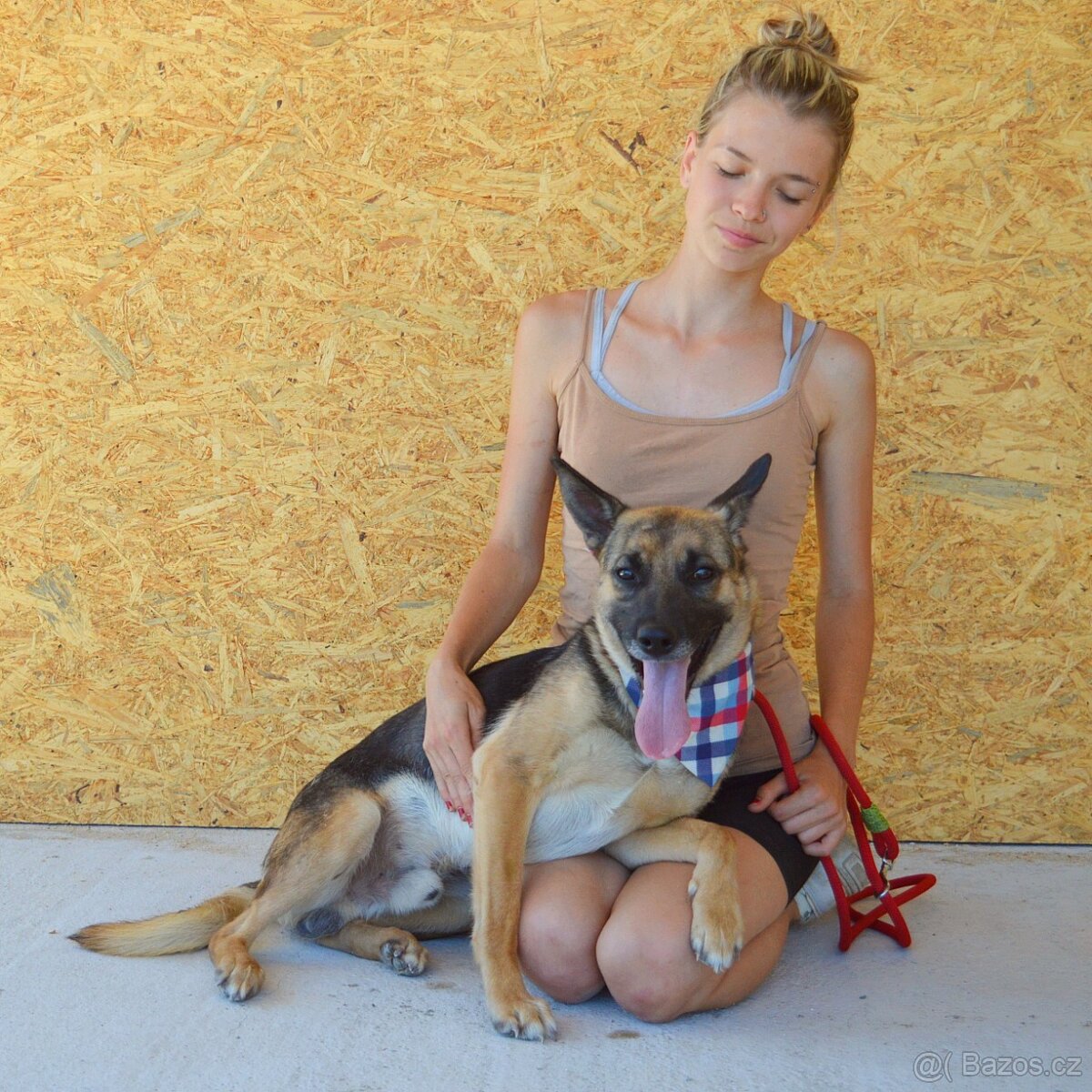 Norton hledá domov - 7