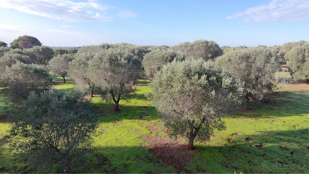 Pozemek u moře na jihu Itálie - 7