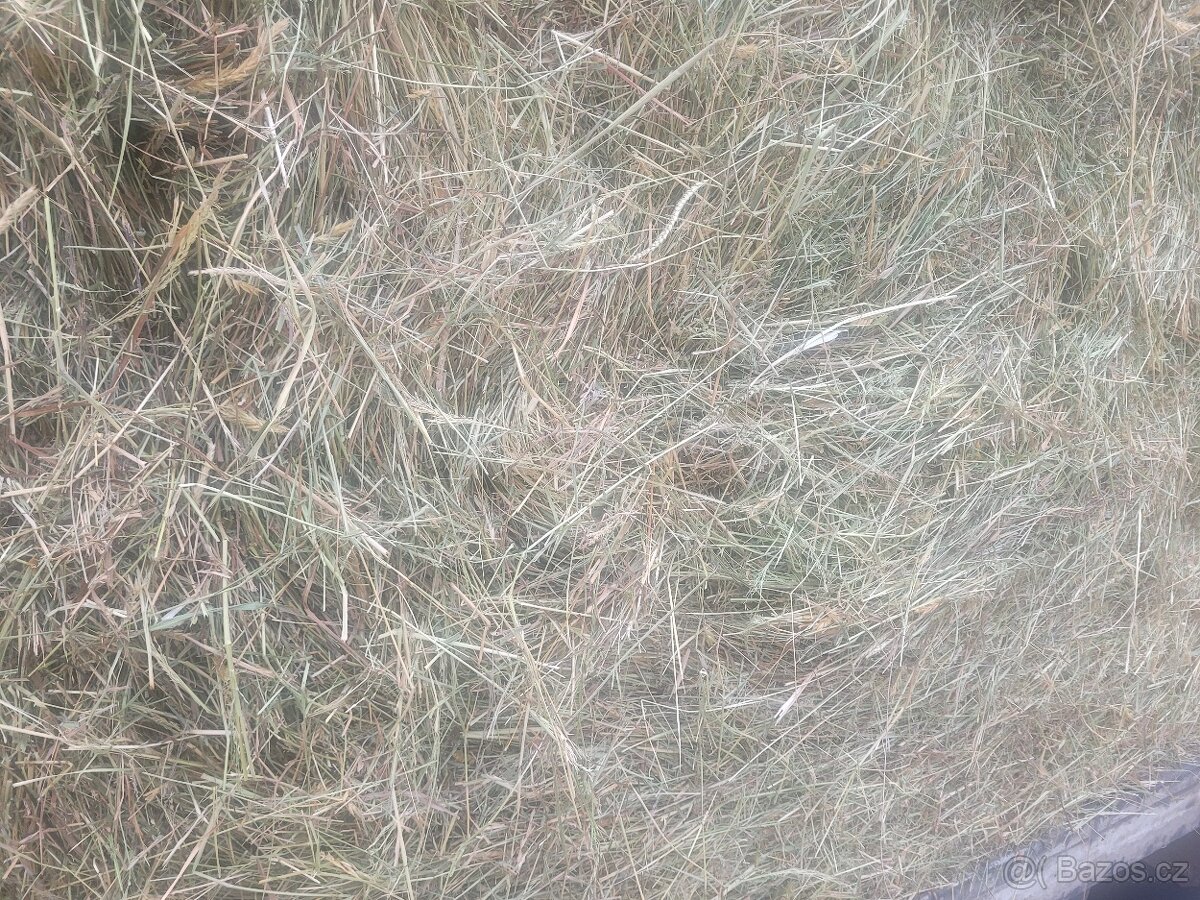 Seno kulaté balíky ze Šumavy - 7