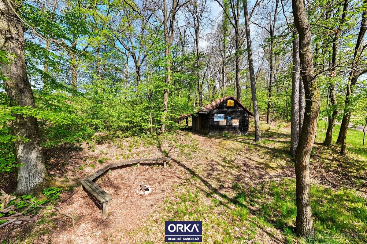 Prodej pozemku 880 m2 - Radotín u Lipníka nad Bečvou - 7