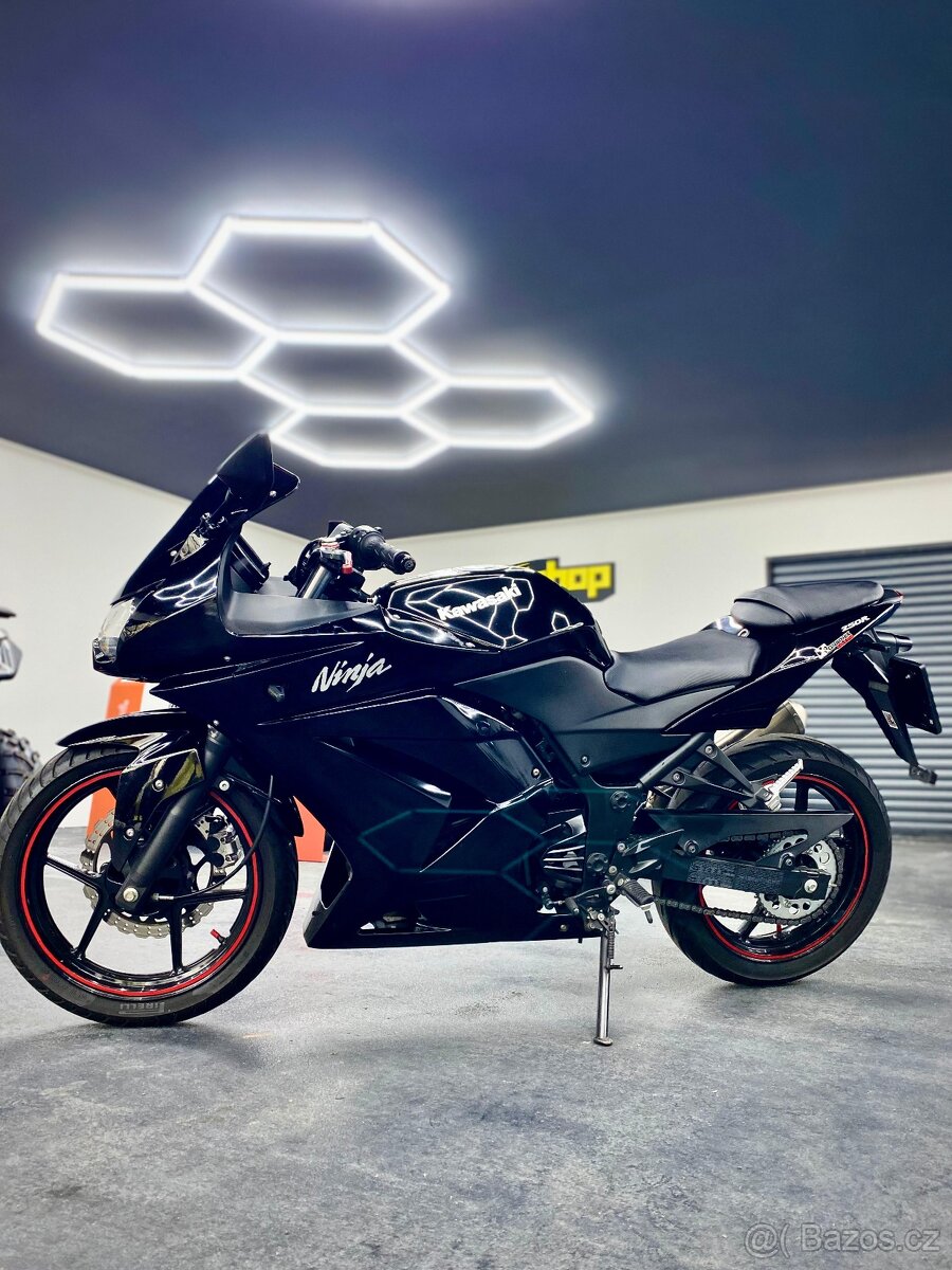 Kawasaki Ninja 250r 2010 - 7