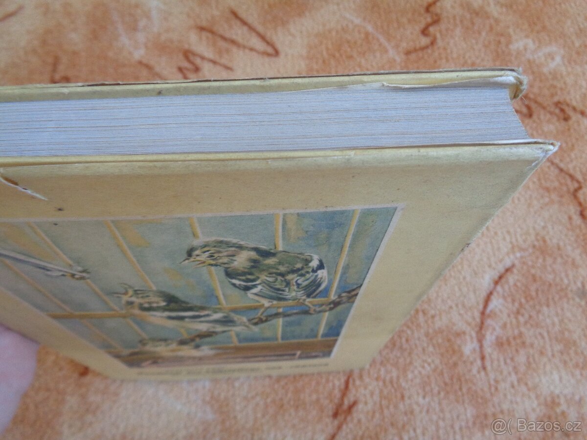 Kniha o chovu ptáků z roku 1954 v němčině - 7