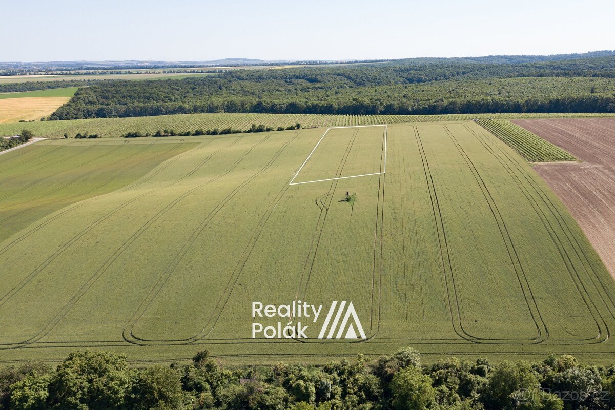 Prodej orná půda, 7380 m² - Bulhary, ev.č. 25PP103 - 7