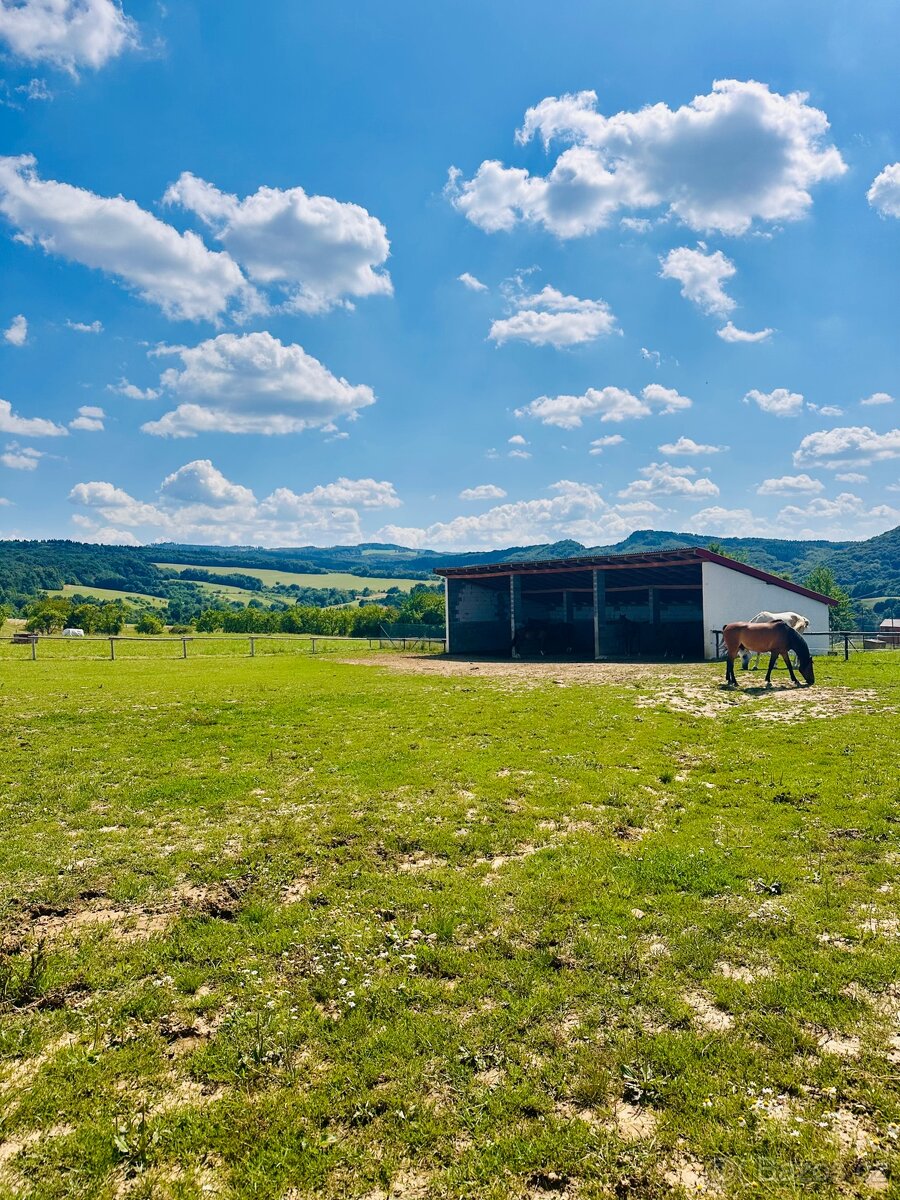 Nabízíme ustájení koně okr. Uherský Brod - 7