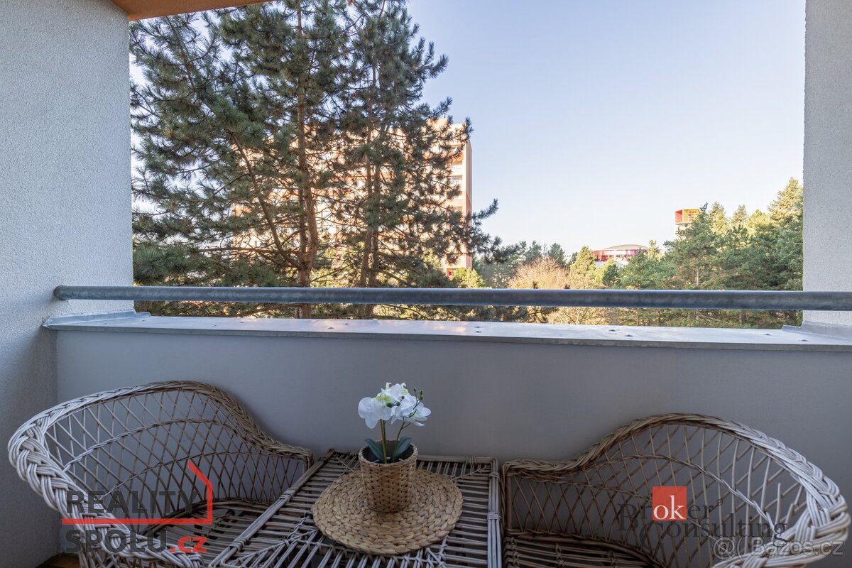 Pronájem, byty/1+1, 32 m2, Halasovo náměstí 113/3, 63800 Brn - 7