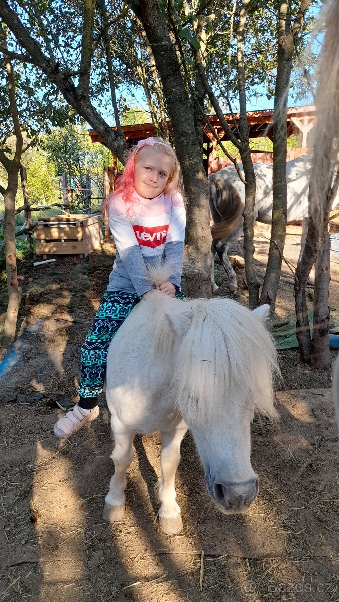 Docházka k ponymu - 7
