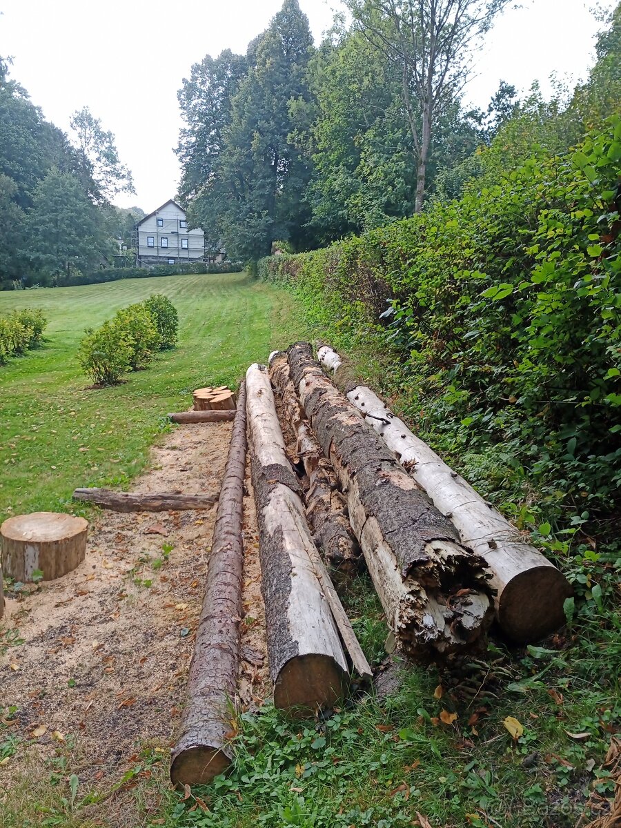 Údržba zahrad, lesů, domů i bytů - hodinový manžel - 7