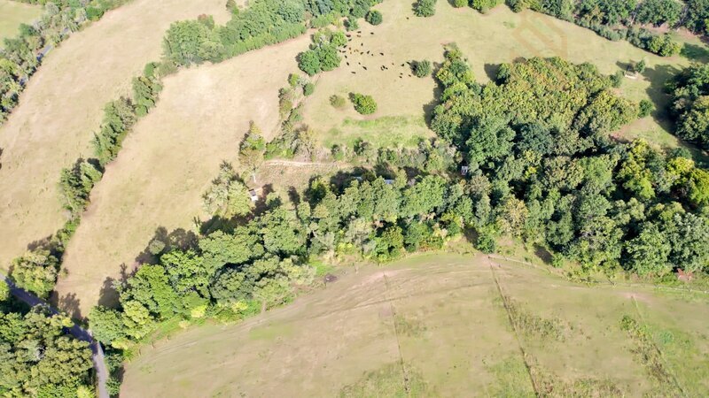 Prodej, pozemek, 7500 m2, Řehlovice-Stadice - 7