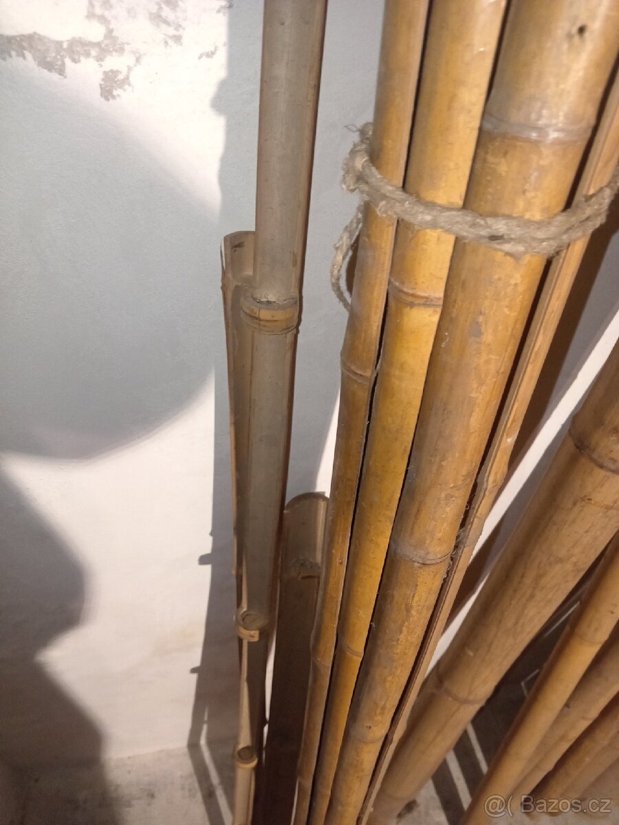 Bambus tyče mix, 1-3m, průměr 3-8cm - 7