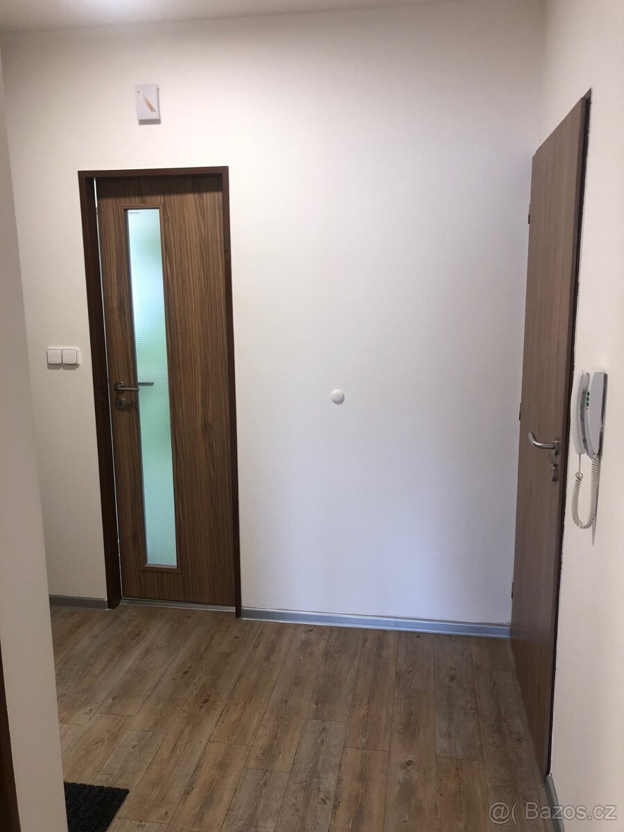 Byt k pronájmu 2+kk (50,8 m2) - 7