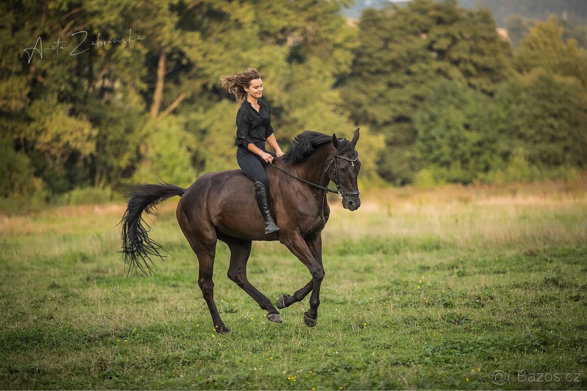 valach a1/1 do sportu/aktivni rekre - 7