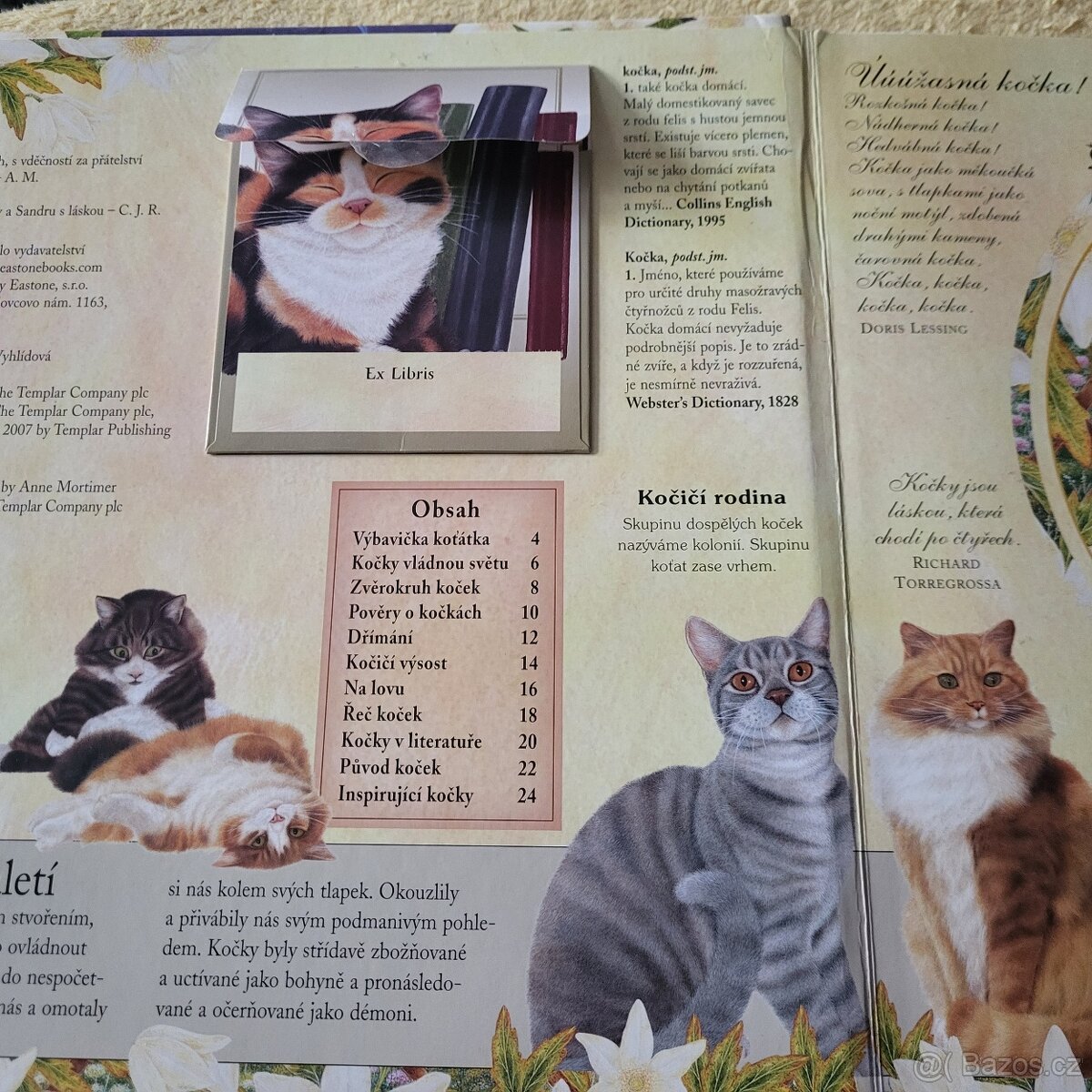 KOČKY pro děti - 7