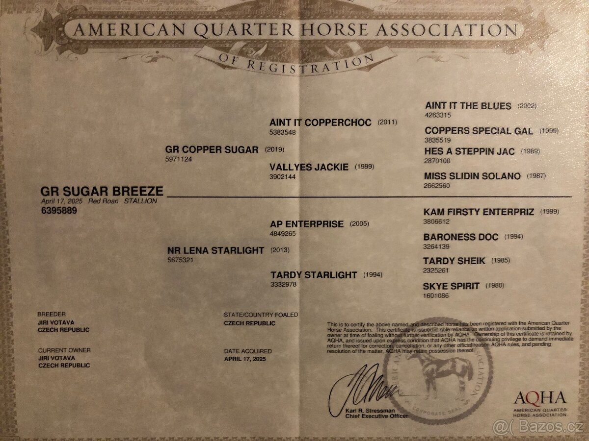 AQH hřebeček 2025 - 7