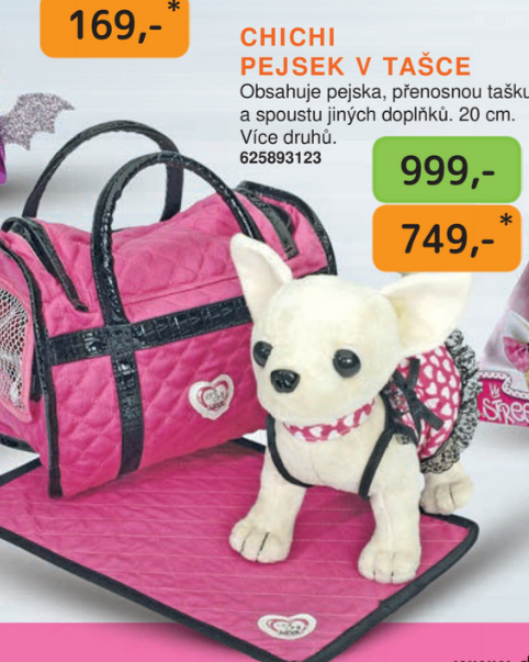 Pes v nosící tašce - 7