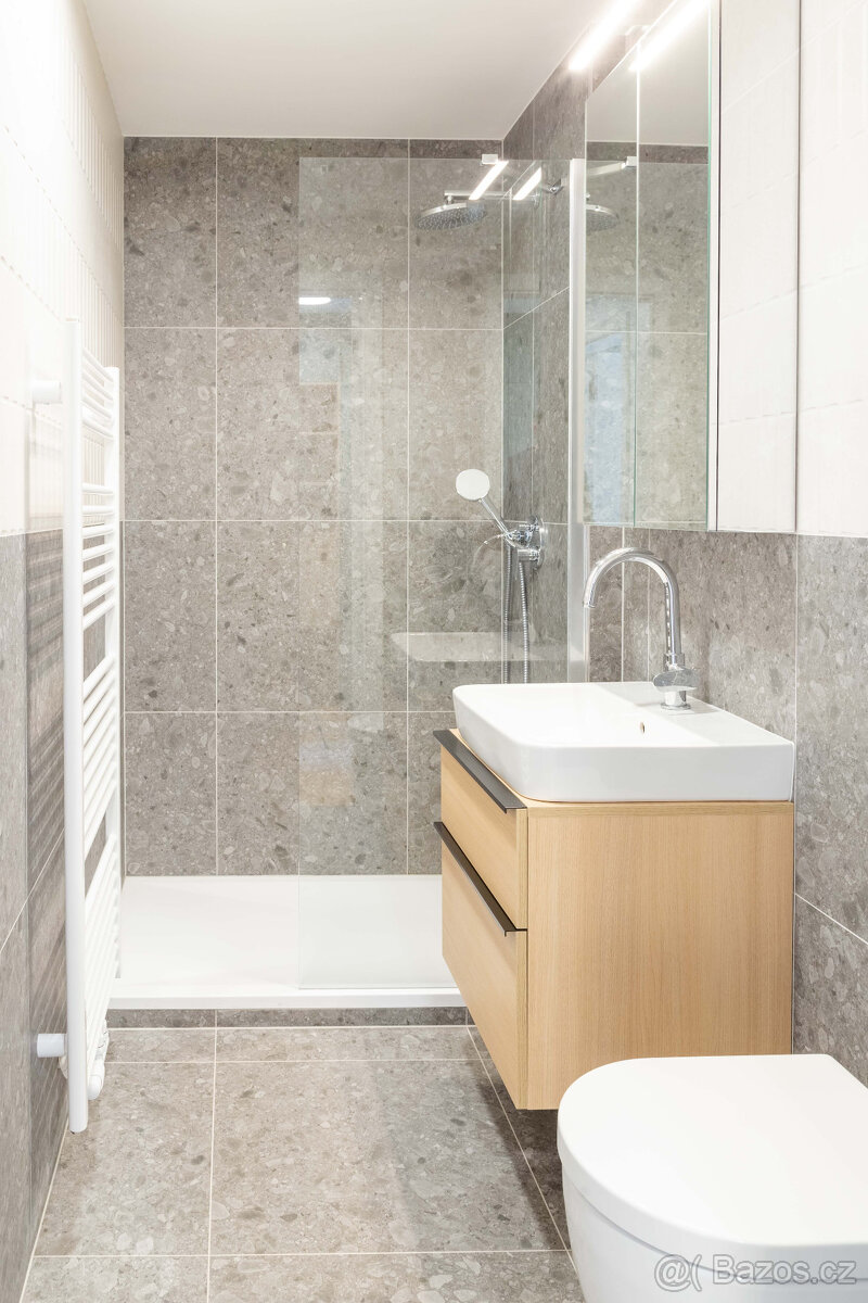 Pronájem bytu 1+kk 42 m² Bratislavská, Brno - Zábrdovice - 7