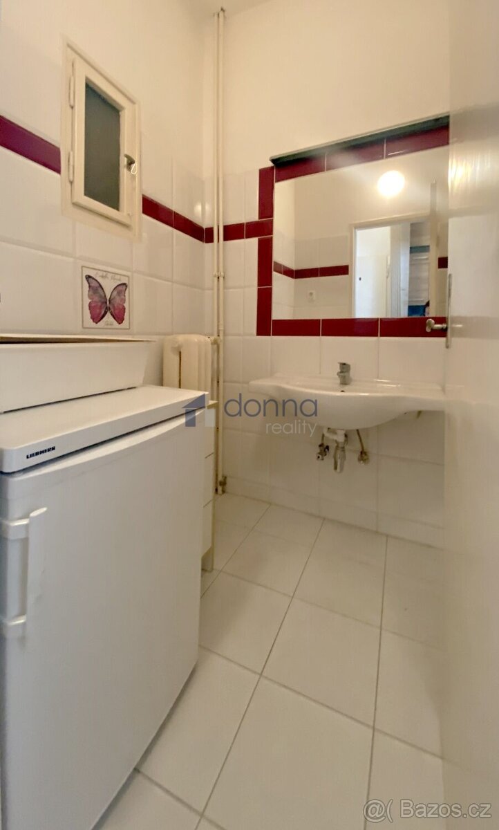 Pronájem 1+kk, 36m2, Praha 3 - Vinohrady, ul. Slezská, částe - 7