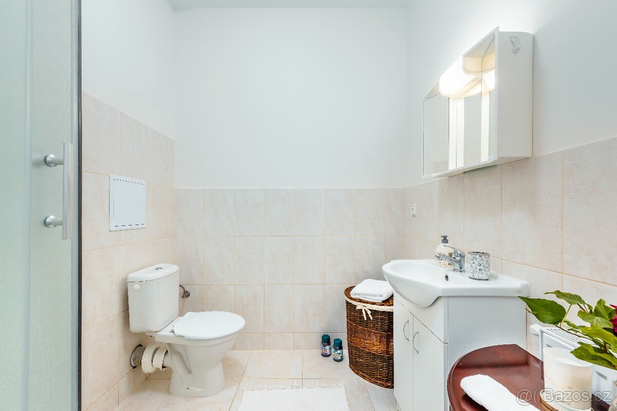 Pronájem bytu 1+kk - 7