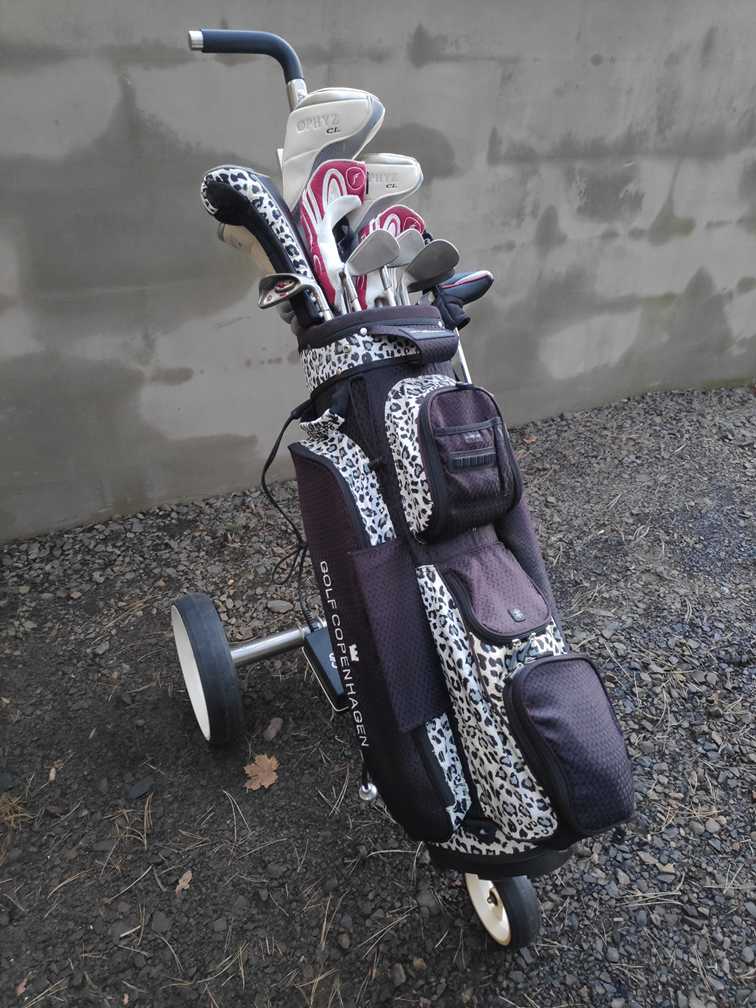 Golfový vozík - 7