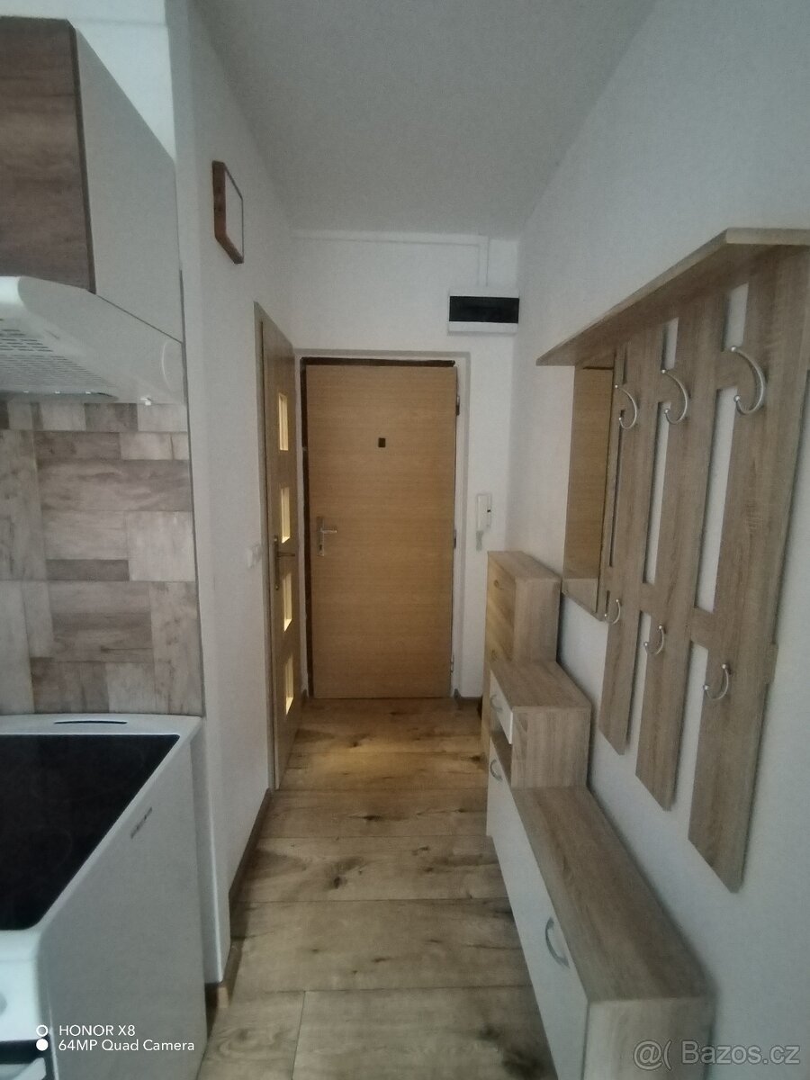 Byt 2+1 v Kraslicích,přechod Německo. - 7