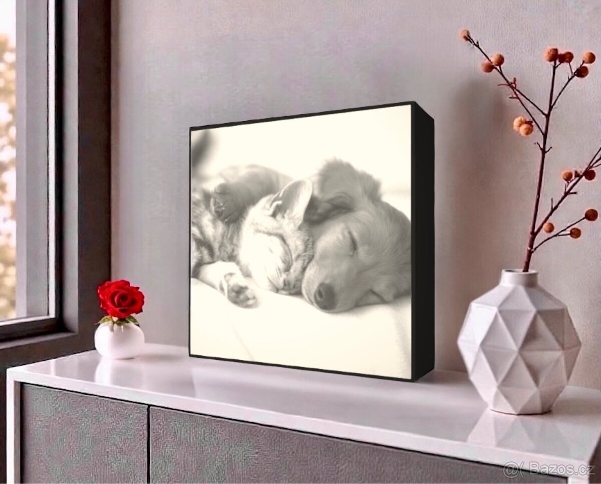 SVĚTELNÝ BOX na míru (1 fotografie) - 7