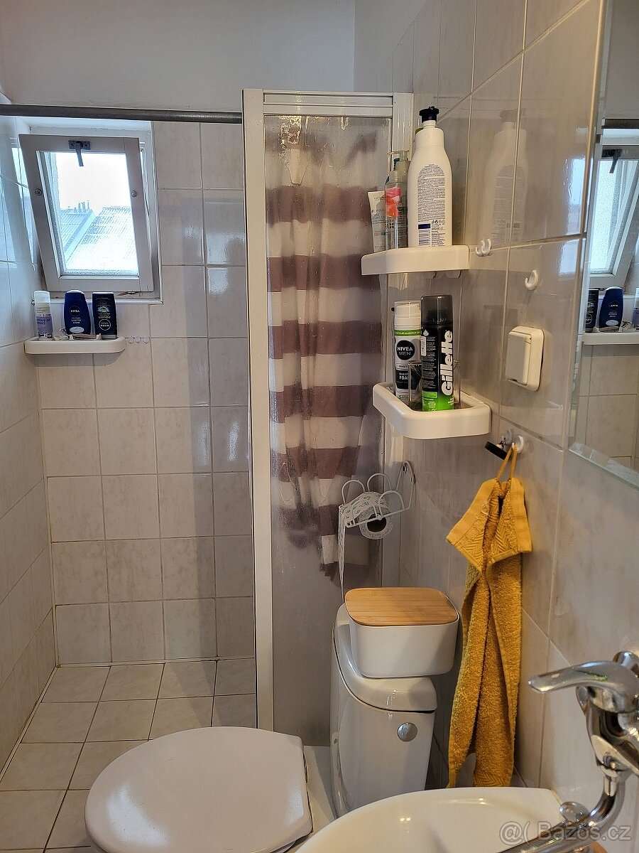 Prodej prostorného rodinného domu v Doudlebách n.Orl. - 7