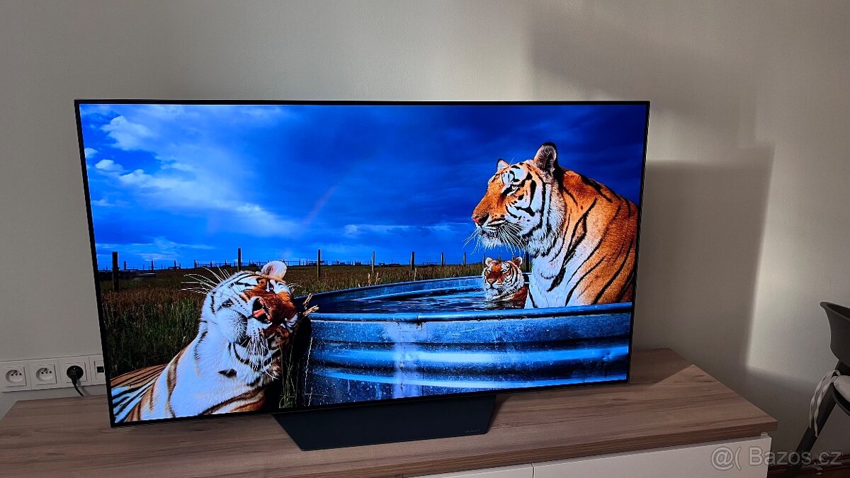 Televize 55" LG OLED55B1 - 7