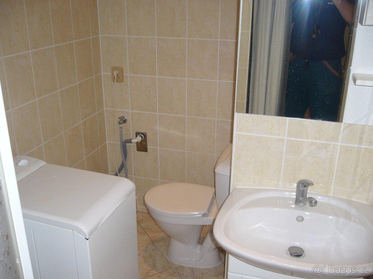 Pronájem bytu 1+kk - Močidla 2160 - 7