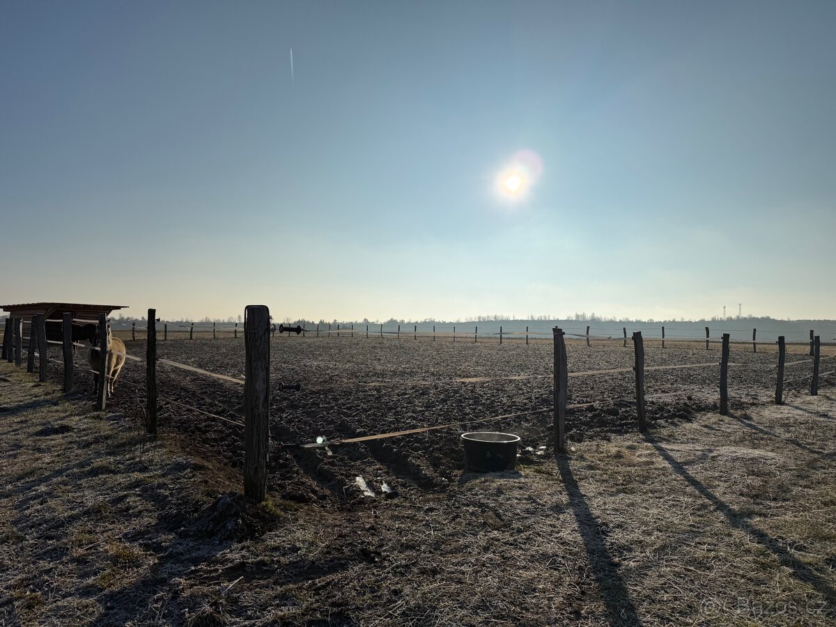 Ustájení 24/7 pro hříbě - 7