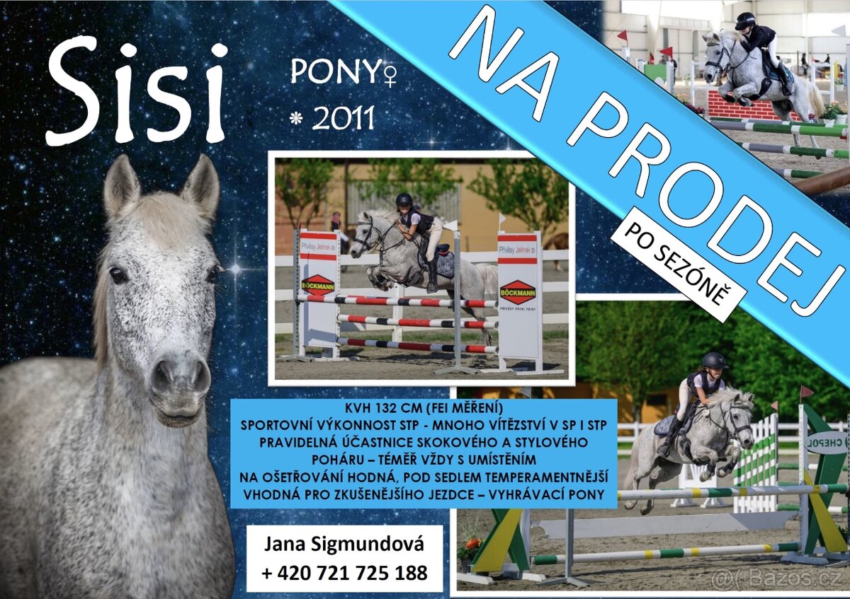 TOP pony klisna do sportu 132cm - 7