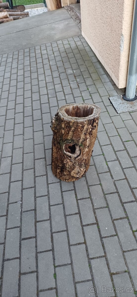 Dutý kmen - 7