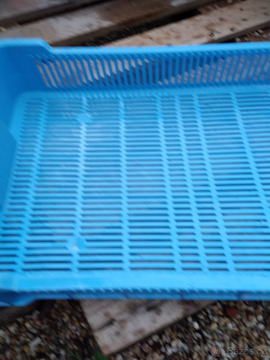 Plastové přepravky OZ ,nízké, barvené - 7