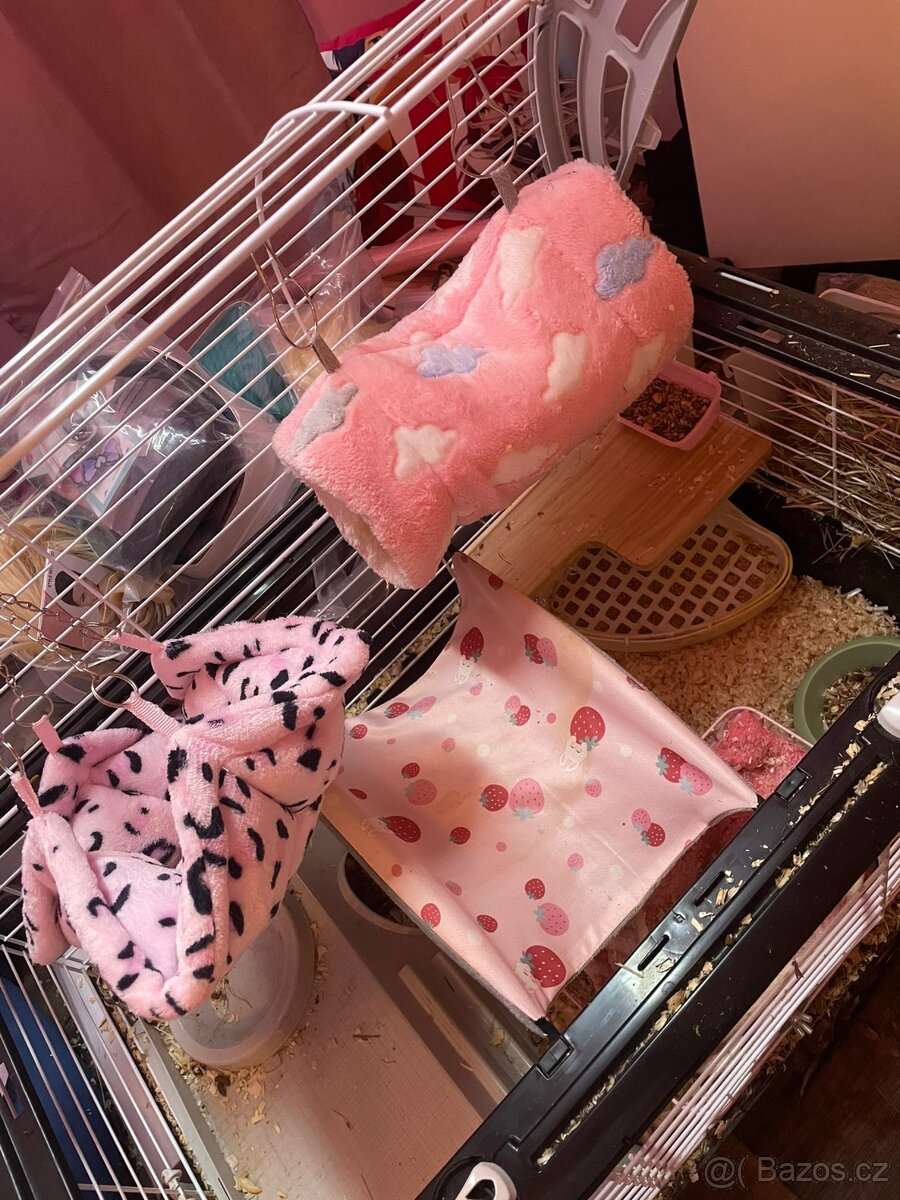 Morčátka i s klecí zdarma - 7