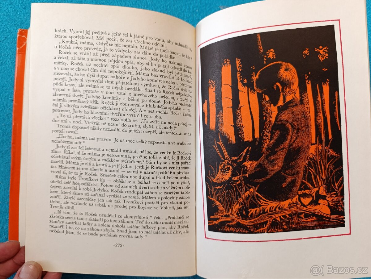 DÍTĚ DIVOČINY - M.K.Rawling - 7