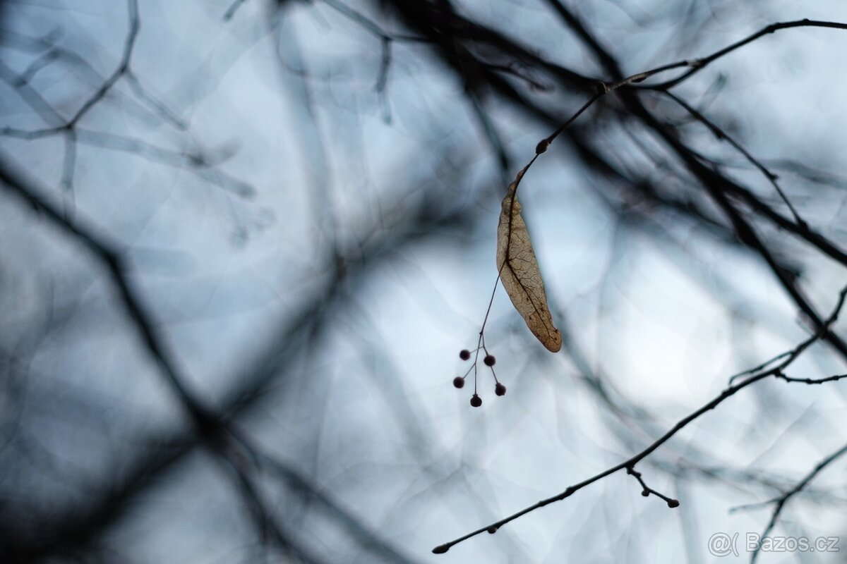 Auto Reflecta 55mm f/1.7 - (M42) - 7